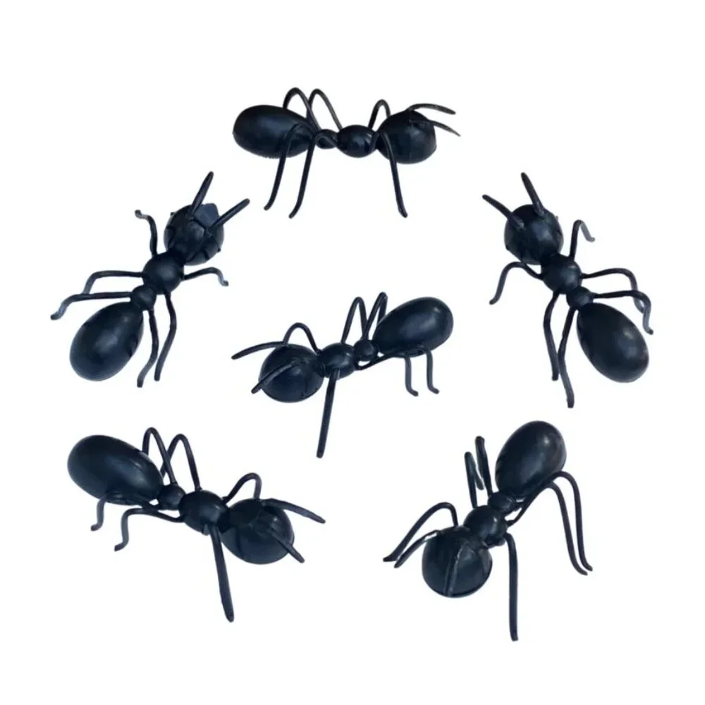 24 Ant Insects Cupcake Cake Toppers Picks New Party Supplies DIY Baking Decor Bl